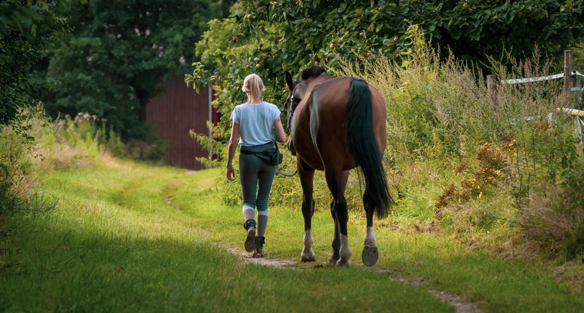 a girl walking with horse