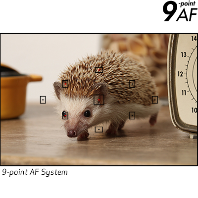 9 Point AutoFocus System