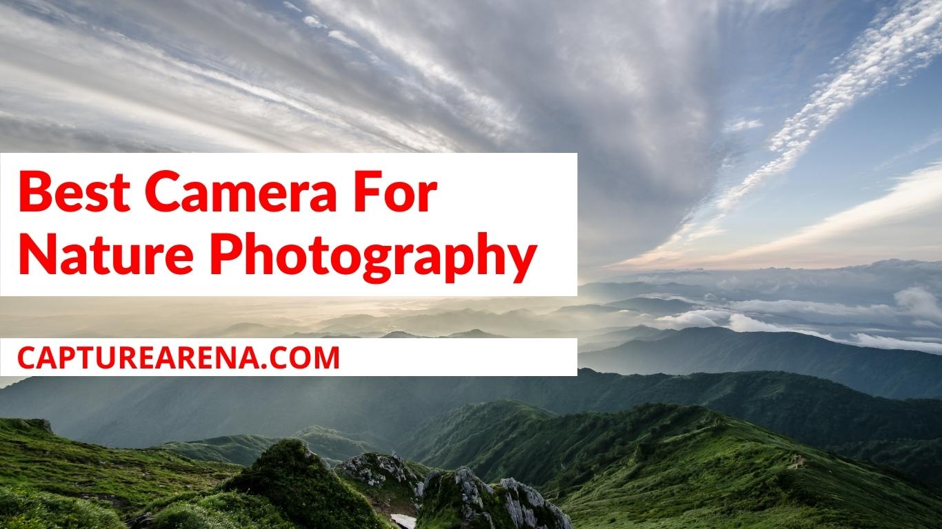 Best Camera For Nature Photography