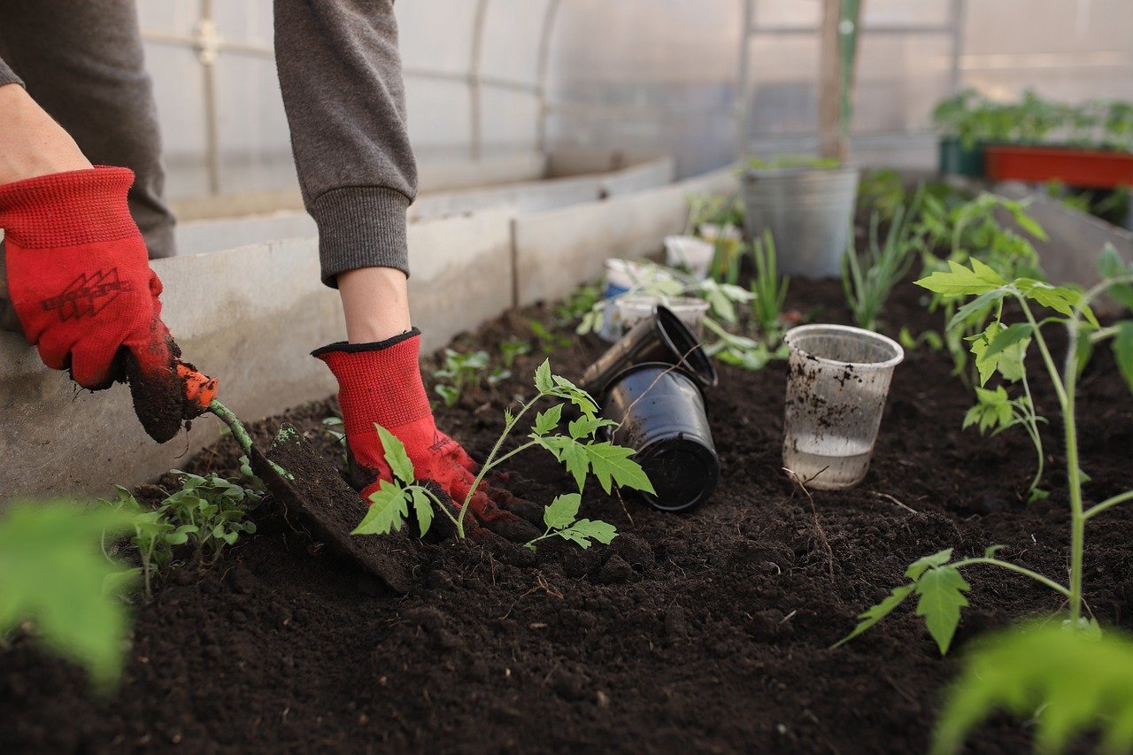 greenhouse-planting-spring-beds