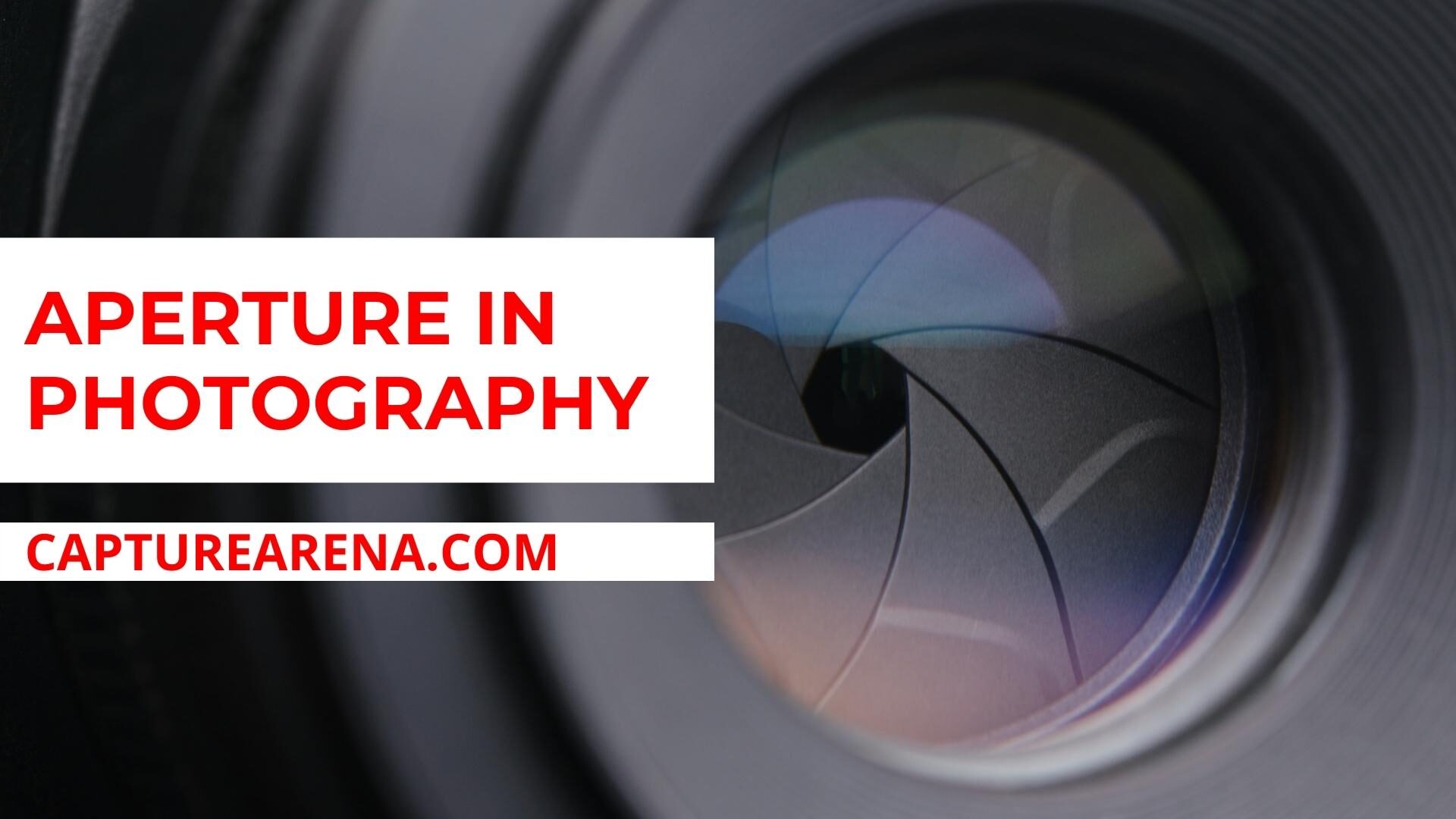 Aperture In Photography