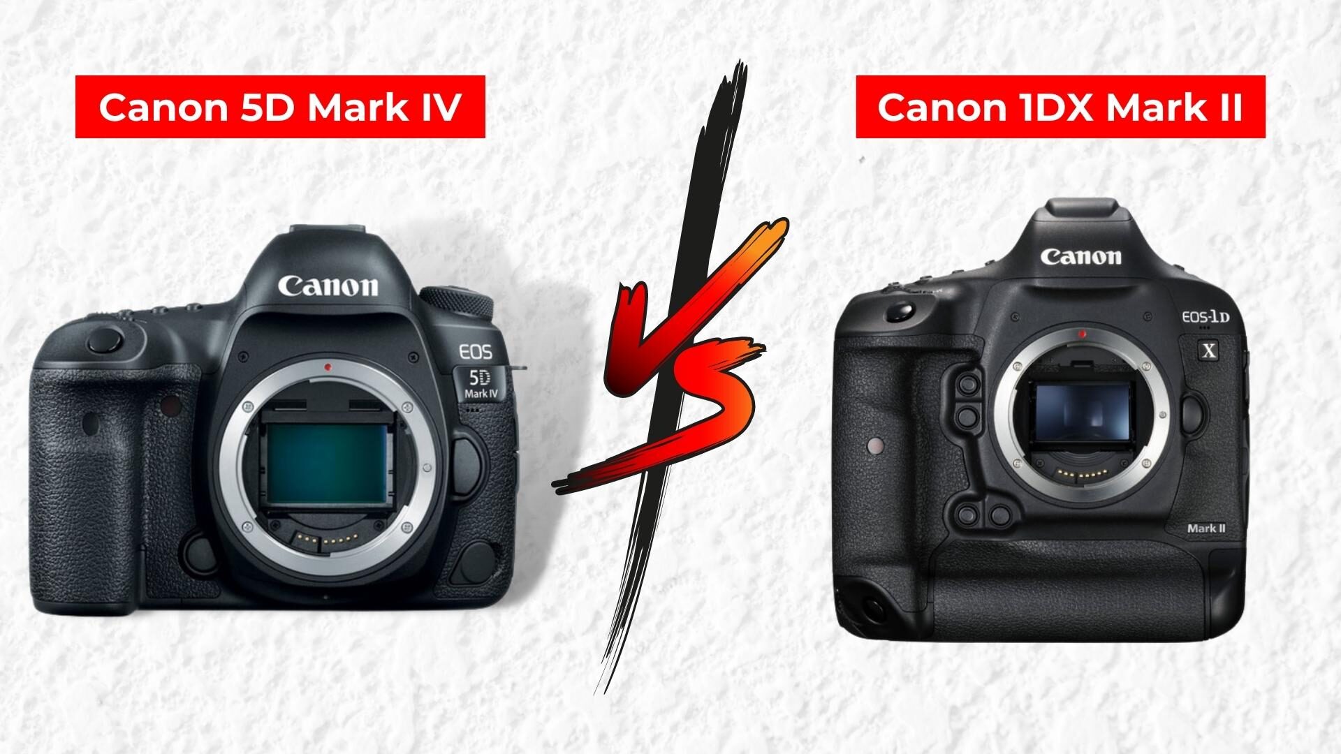 Canon 5D Mark IV Vs 1DX Mark II
