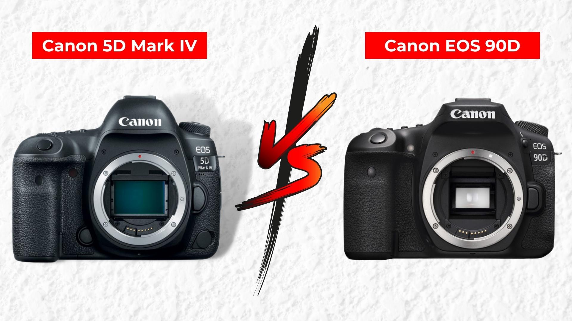 Canon 5d vs 5d mark. Canon 90d. Canon 7d II vs 5d III. Canon 90d vs Canon Rp. Canon 90d характеристики.