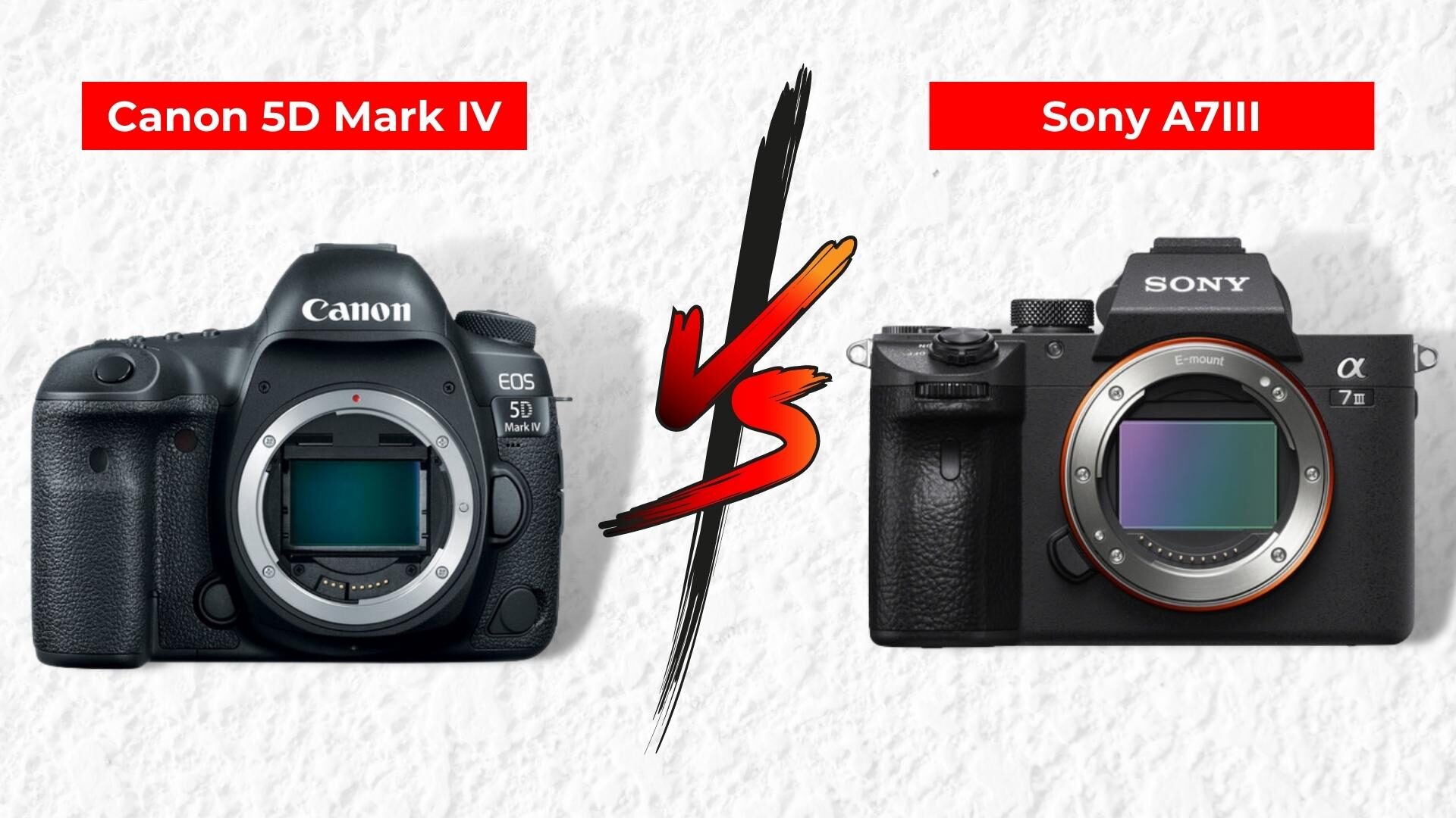 Canon 5D Mark IV Vs Sony A7III