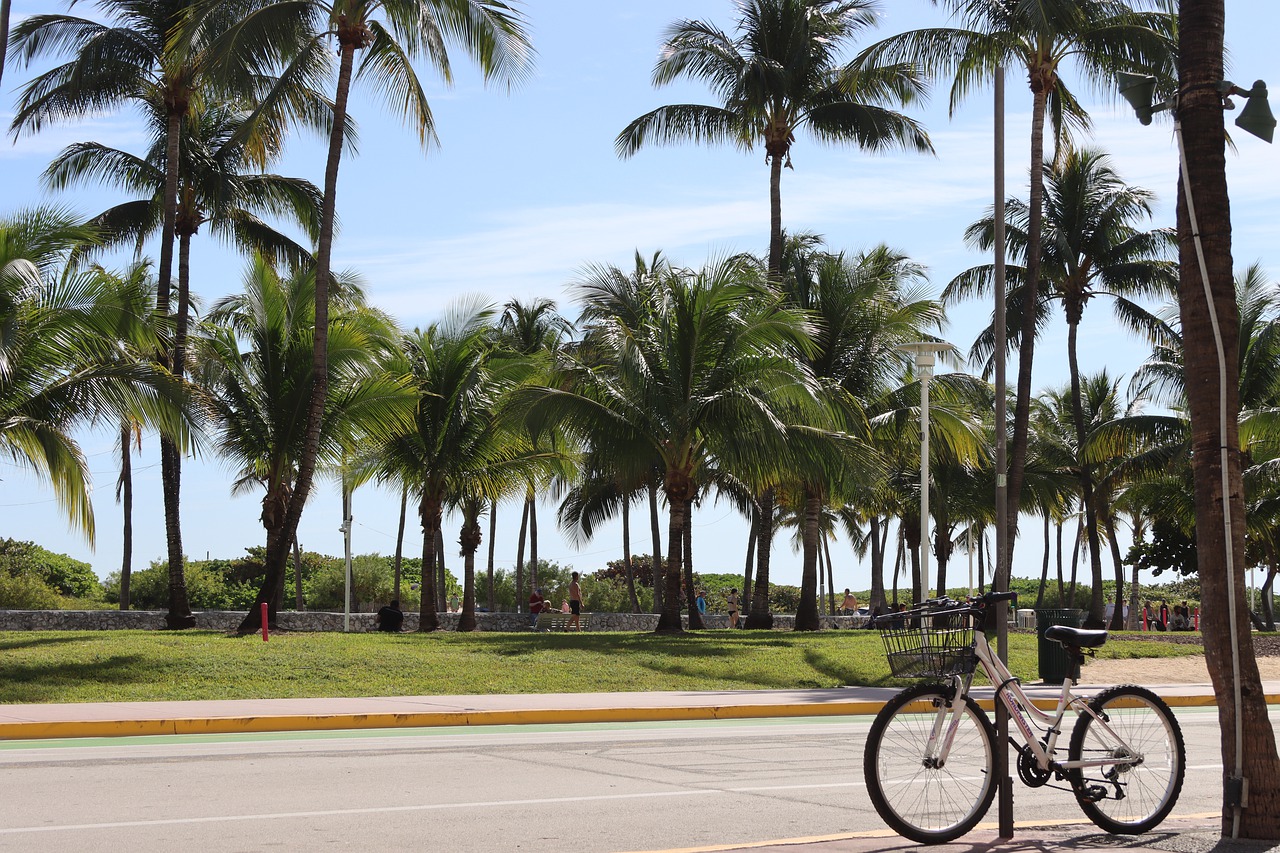 Ocean Drive Miami Beach By Canon EOS 90D