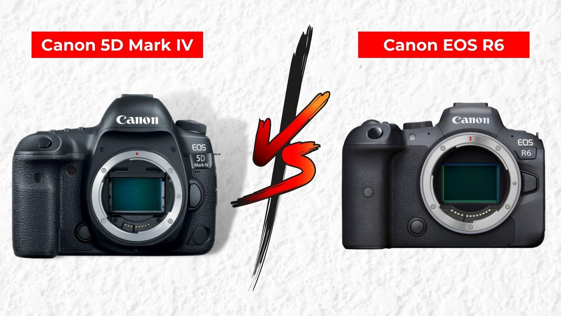 Canon 5D Mark IV Vs Canon EOS R6