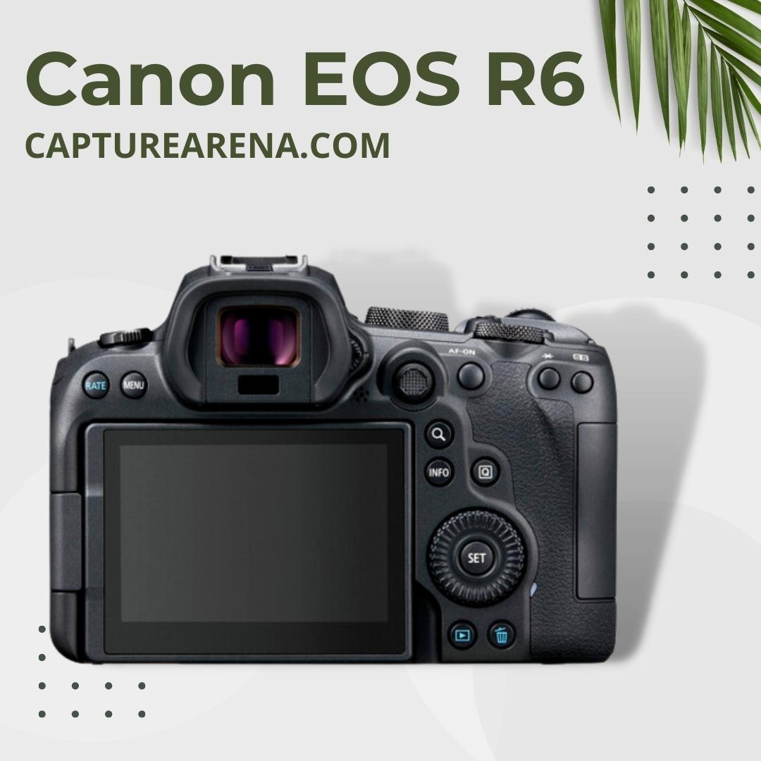 Canon EOS R6 - Product Image - Back