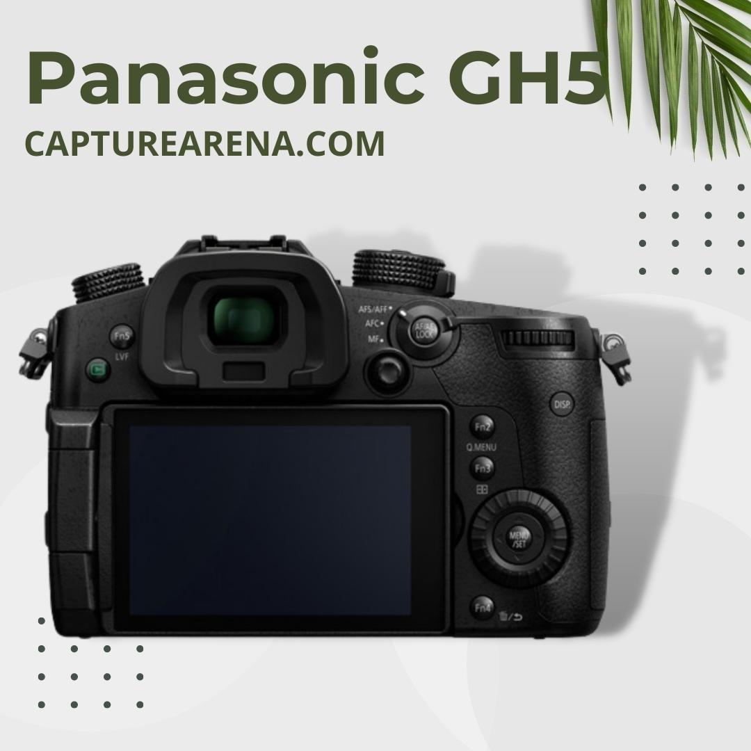 Panasonic Lumix GH5 - Product Image - Back
