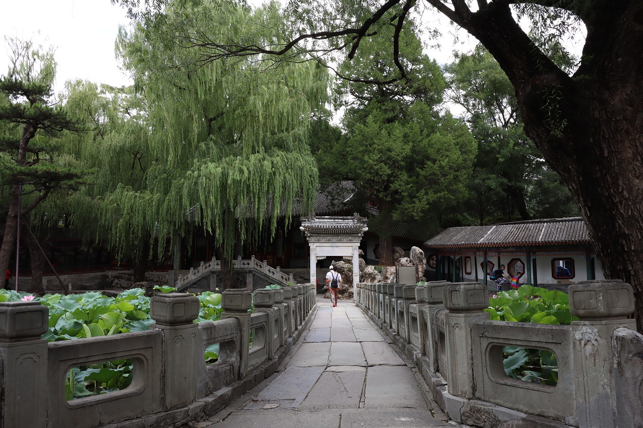 Ancient Chinese Garden by Canon M6 Mark II