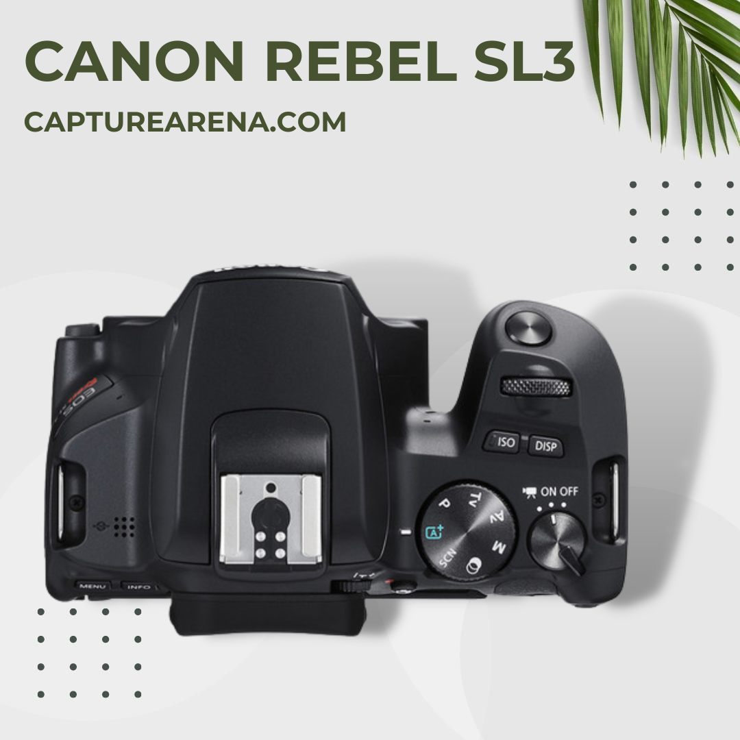 Canon Rebel SL3 - Product Image - Top