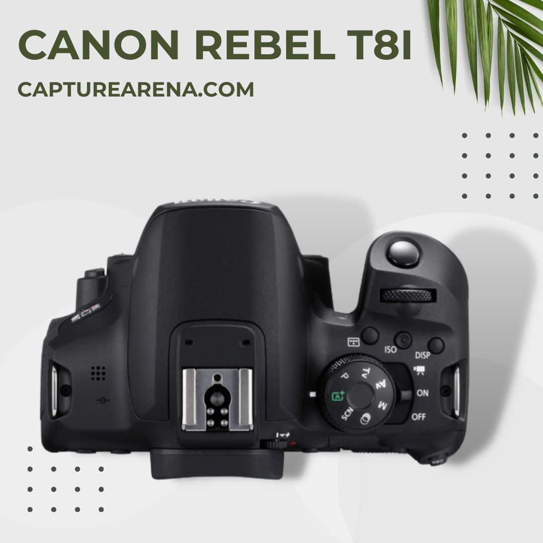 Canon Rebel T8i - Product Image - Top