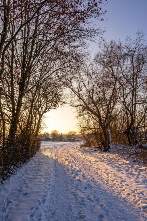 Winter Cold Path Snow By Canon M50 Mark II
