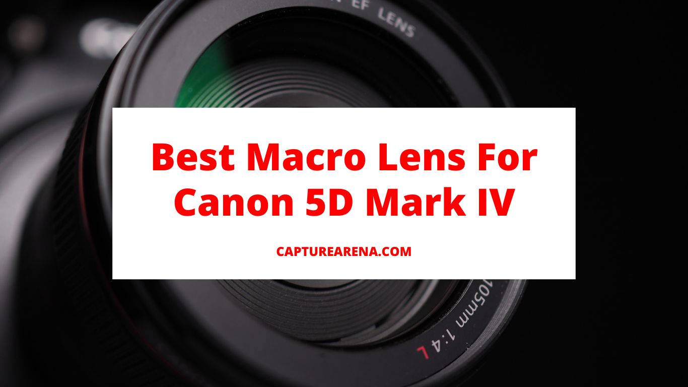 Best Macro Lens For Canon 5D Mark IV